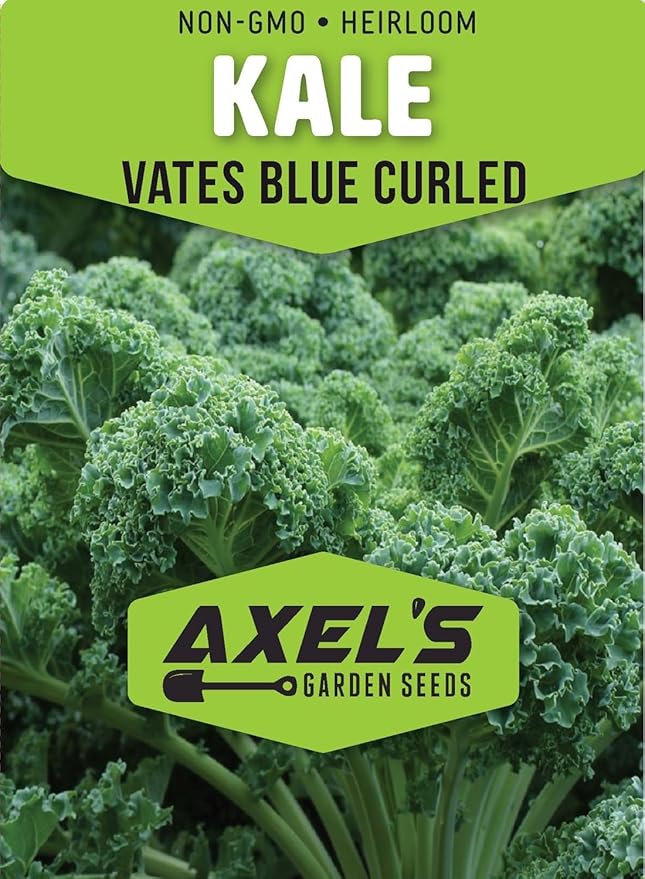 Kale Seeds for Planting - Plant & Grow Heirloom Kale Varieties Home Outdoor Garden – Easy Grow Planting Packet Instructions Included, Great Gardening Gift – 1 Packet of Each Variety