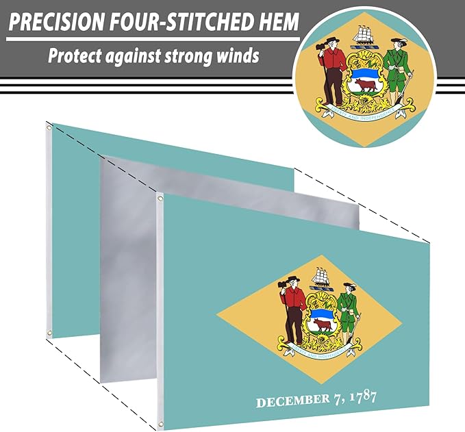 FLAGWIN Delaware Flag 3x5 FT - 3 Ply Double Sided Polyester Delaware State Flag with Brass Grommets - Vivid Color and Fade Proof State of Delaware Flags 3x5 Outdoor