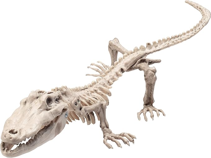 Crocodile Skeleton Halloween Decoration - 20" Long - Weather Resistant for Indoor Outdoor Use- Upgrade Your Fall Lawn Graveyard Haunted House Cemetery Party Props, Spooky Trick-or-Treat Cemetary Decor