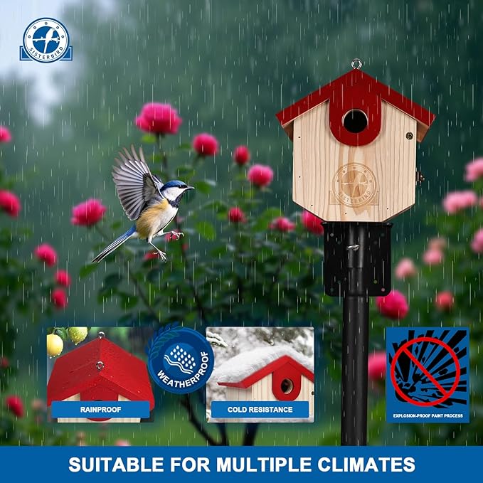 Wren Bird Houses for Outside Cedar Hanging Birdhouses for Outdoors 1-1/8" Entrance Hole Bird Houses for Outside Clearance Wooden Nesting Box Chickadee Predator Guard, Red
