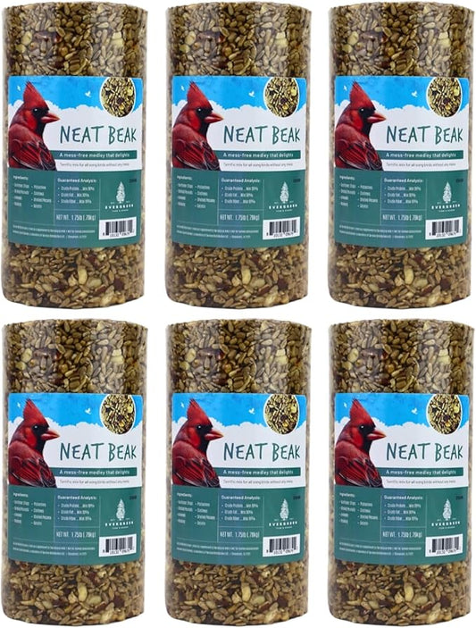 Birdseed Cylinders with Hole - Bird Seed for Outside Wild Birds (Small Cylinder, Neat Beak 6pc)