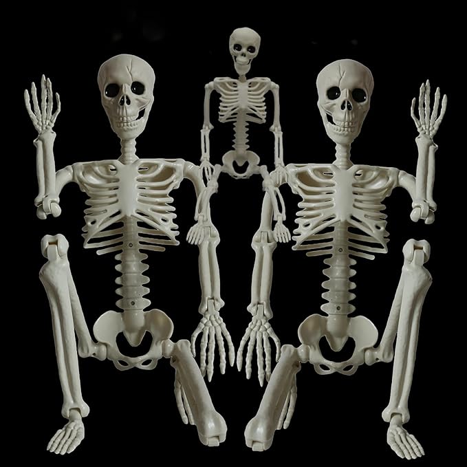 Skeleton Halloween Decorations Outdoor Indoor - 2Pcs 36" 1Pcs 16" Posable Plastic Skeleton, Movable Joints Full Body Bones,Funny Halloween Decor for Party,Porch,Haunted House,Yard, Garden,Graveyard