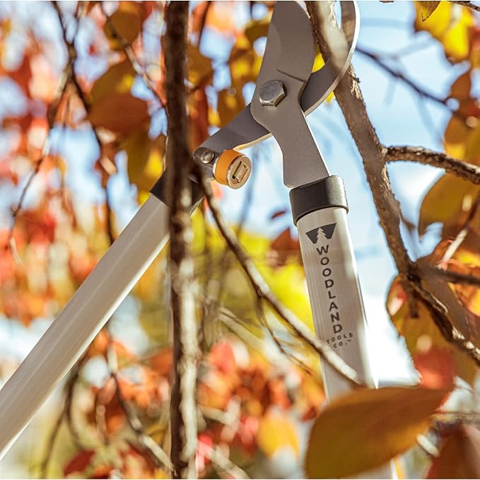 Woodland Tools Regular Duty Lopper – 28 Inch Manual Branch Cutter with Bypass Blade and Non Slip Grip – Lightweight Tree Trimmer for Gardening, Shrubs, and Small Branches