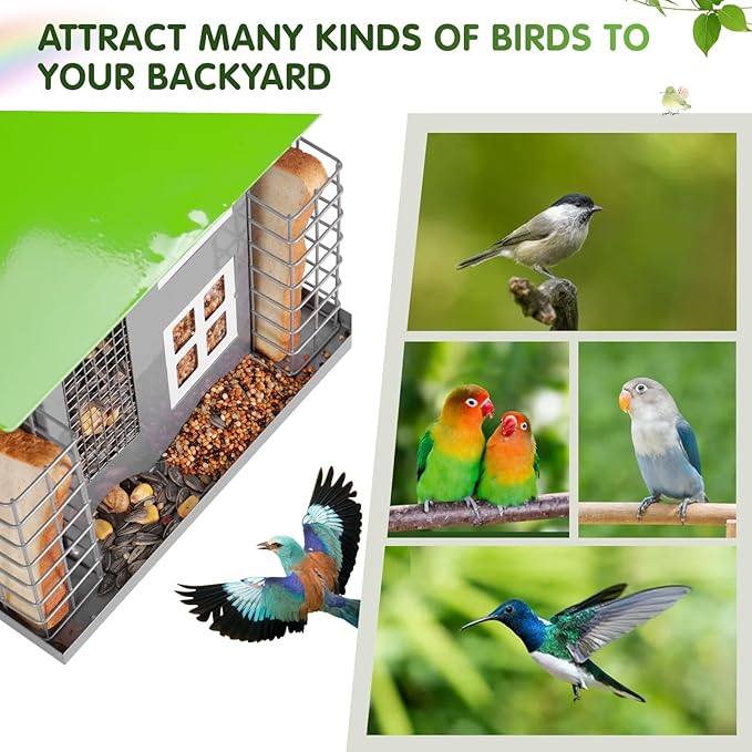Metal Bird Feeders for Outdoors Wild Bird Feed with 2 Suet Cage Cake Squirrel Proof Hanging Feeder Large Capacity Wild Bird Feeder Easy Clean&Anti-Rust Attracting Birdhouse Green
