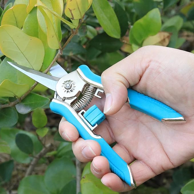 FLORA GUARD 6.5-Inch Floral Scissors, Zinc Alloy with Rubber Handle, Toothed Blade for Quick Cutting, Suitable for Flower Placement, Plant Pruning, Rose or Fruit Picking (Blue)