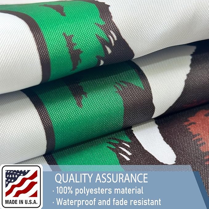 California Republic State State Flags 3x5 Outdoor Heavy Duty Double Sided Nylon Vivid Color Anti-Fading with 2 Brass Grommets for Home/Company/Indoor Outdoor Decoration