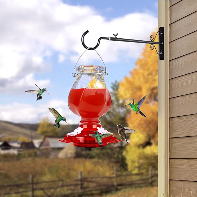 Hummingbird Feeder, BOLITE Glass Hummingbird Feeders for Outdoors Hanging, with Ant Moat and 4 Bee Guard Feeding Ports, 22oz, Leak Proof, Clear & Red