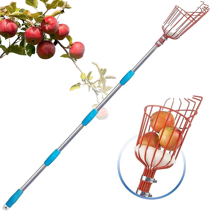 Adjustable Fruit Picker with Telescoping Handle and Basket, 10ft - Ideal for Apple, Orange, Avocado, Lemon, Pear, and Mango Harvesting