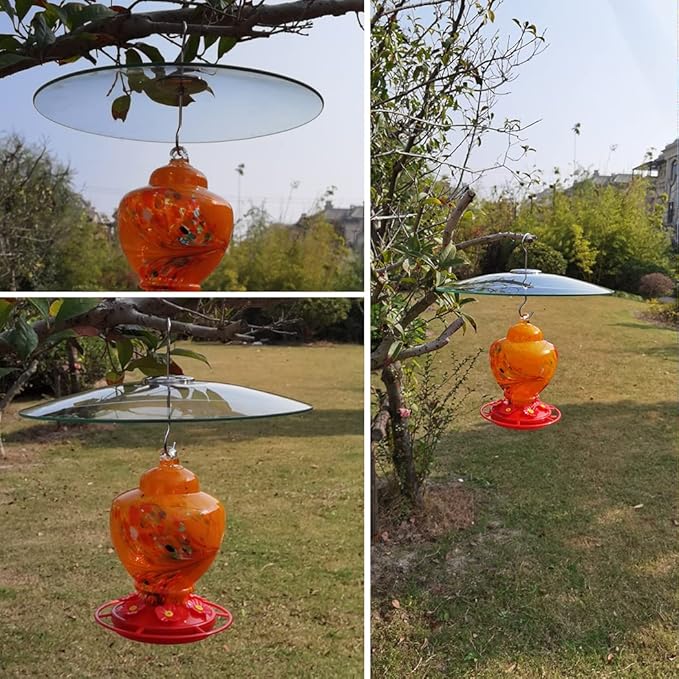 13" Glass Rain Cover for Bird Feeder Outdoors - Baffle on Shepherd Pole/Post or S Hook Hanging - Large Weather Guard Protective Dome - Clear (Dia. 33CM)