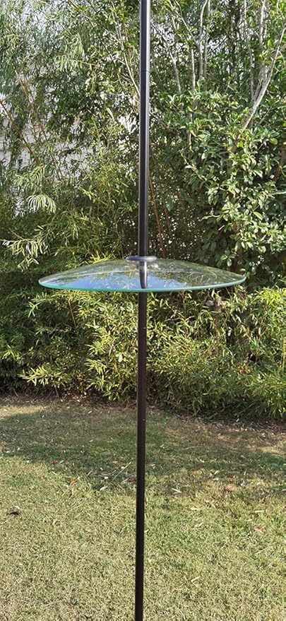 13" Glass Rain Cover for Bird Feeder Outdoors - Baffle on Shepherd Pole/Post or S Hook Hanging - Large Weather Guard Protective Dome - Clear (Dia. 33CM)