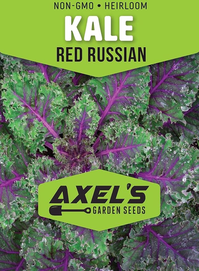 Kale Seeds for Planting - Plant & Grow Heirloom Kale Varieties Home Outdoor Garden – Easy Grow Planting Packet Instructions Included, Great Gardening Gift – 1 Packet of Each Variety