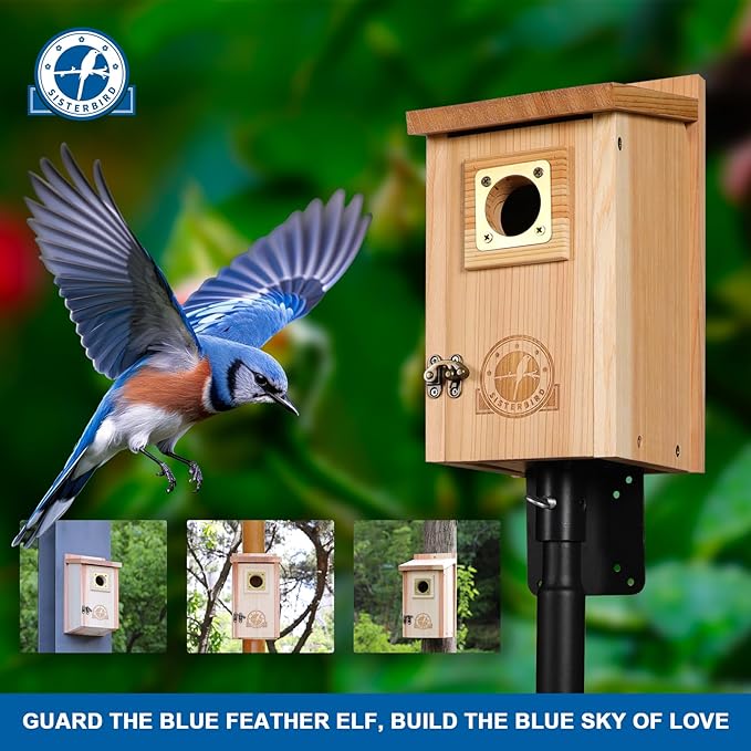 Bird Houses for Outside Clearance with Copper Guard, Cedar Bird House Outdoor, Bluebird Finch Swallow Wren Chickadee