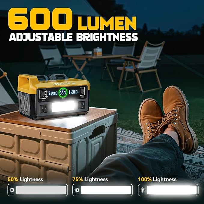 550W Power Station Compatible with Dewalt: LIVOWALNY Portable Generator DC 20V to AC 110-120V, Pure Sine Wave Power Inverter Battery Adapter Phone Charger 2 USB-A & 1 Type-C & 2 AC Outlet (Tool Only)