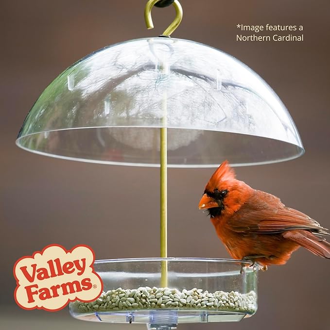 Valley Farms Safflower Seed Wild Bird Food (15 LB) for Outside Feeders, Safflower Bird Seed for Cardinals, Grosebeaks, and Buntings, Cardinal Birdseed for Ourtside Feeders
