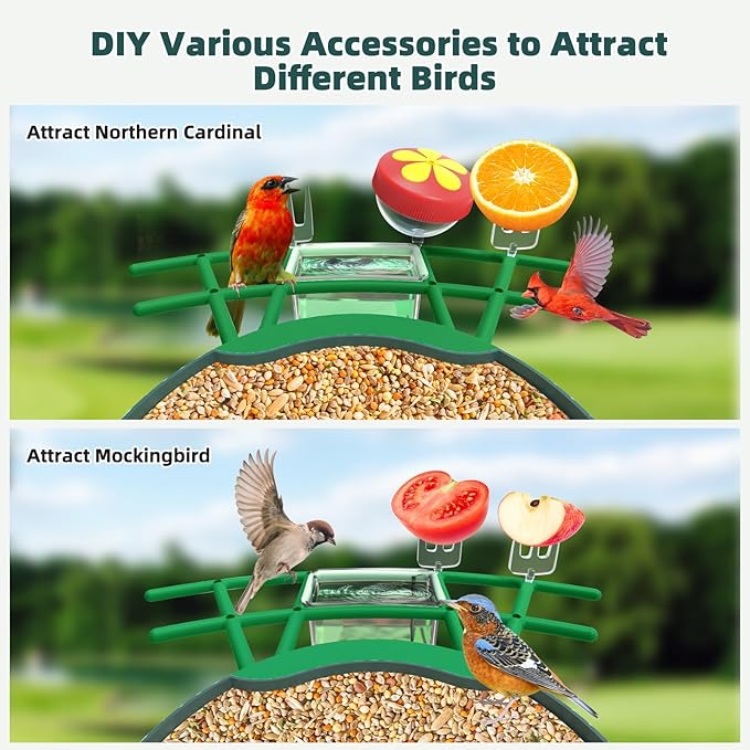 Smart Bird Feeder with Camera Solar Powered - 2K HD Live Video Camera AI Identify Birds, Visible Window Auto Capture& Motion Detection -Instant Arrival Alerts, Birds Lover Gifts
