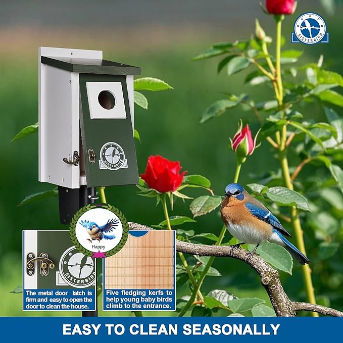Bird Houses for Outside, Dark Green Bird House, Bluebird Houses for Outside, Garden Decoration Birdhouses for Outdoors, Bluebird Finch Swallow Wren Chickadee