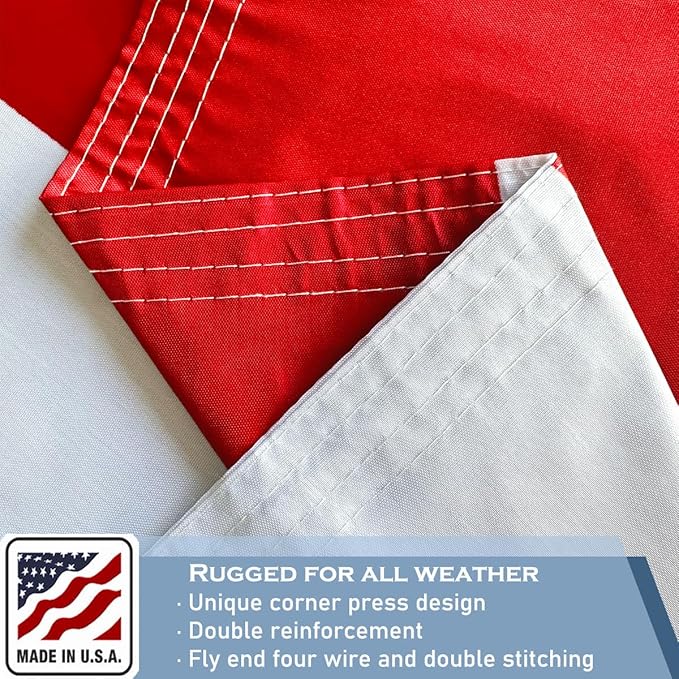 Texas State Flag 3x5 FT Made in The USA- Heavy Duty Vibrant Colours Double Sided Texas TX Flag with 2 Brass Grommets for Home/Company/Indoor Outdoor Decoration