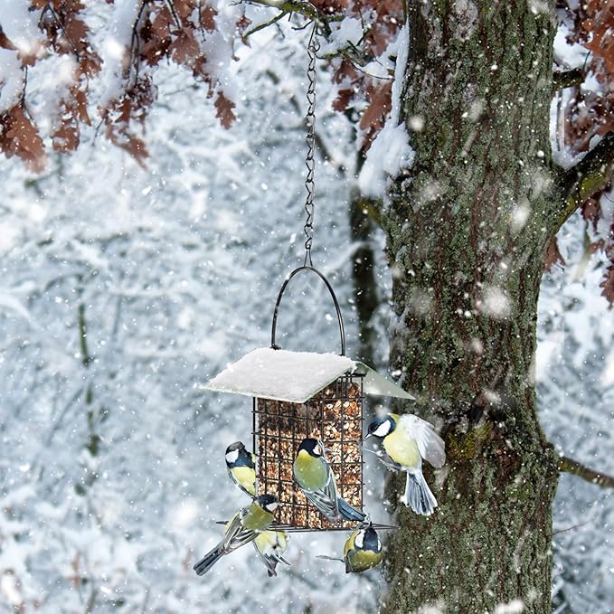 FLINTER Bird Feeder for Outdoors, Suet Feeder Hanging Bird Feeder, Adjustable Chain Hanging for Garden Yard Outside - Suet Cake Feeders to Attracting Birds