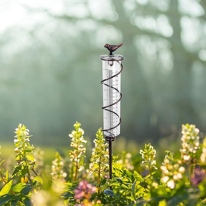 JOYBee 7inch Capacity Glass Spiral Rain Gauge,Cast Iron Bird Hanging Rain Gauge,Garden Rain Water Meter Measuring with Metal Frame,Decoration for Outdoor Garden Lawn Backyard