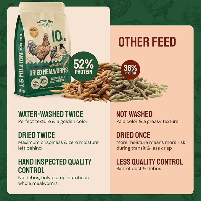 Hatortempt Bulk Dried Mealworms - 10 Lb Bag - Non-GMO Dried Mealworms for Chickens, Ducks & Wild Birds - High-Protein Chicken Feed & Bird Food