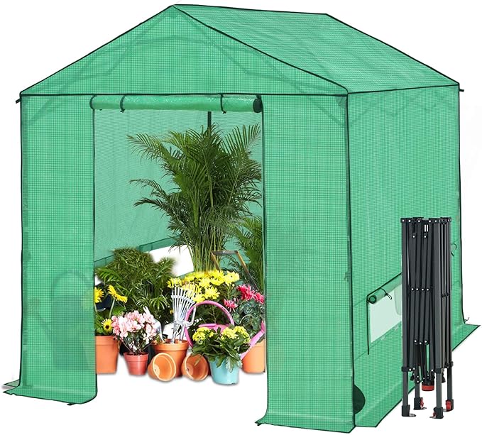 8x8 Pop Up Walk-in Greenhouse, Indoor & Outdoor PE Cover Green House w/ Power Access Ports, Roll-up Zippered Doors and Windows, Green