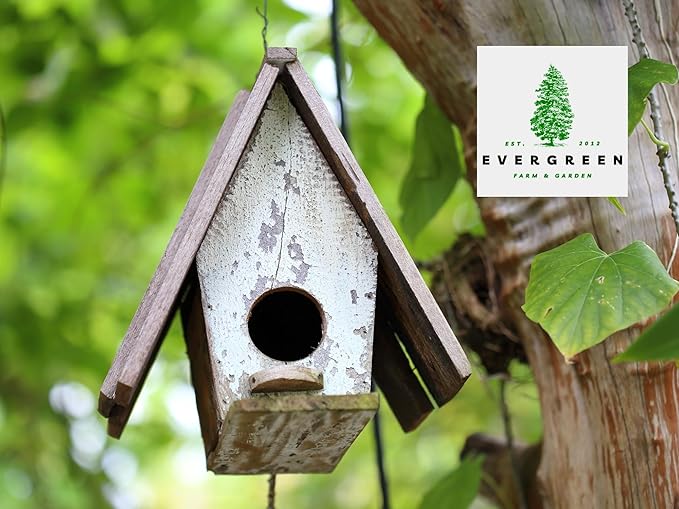 Birdseed Cylinders with Hole - Bird Seed for Outside Wild Birds (Small Cylinder, Neat Beak 6pc)