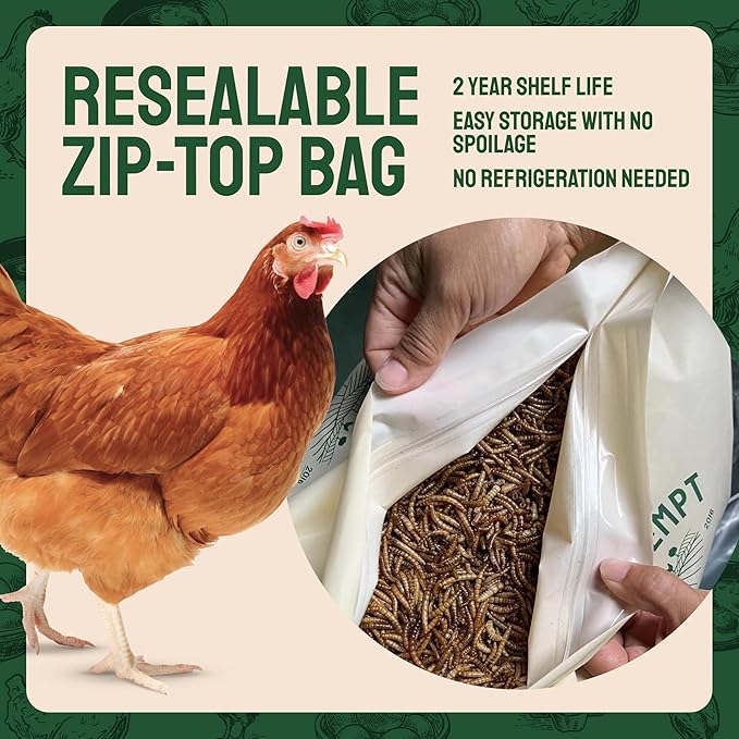 Hatortempt Dried Mealworms - 2 Lb Bag - High Protein Chicken Feed, Mealworms for Birds & Chickens - Meal Worms for Wild Birds & Turtles