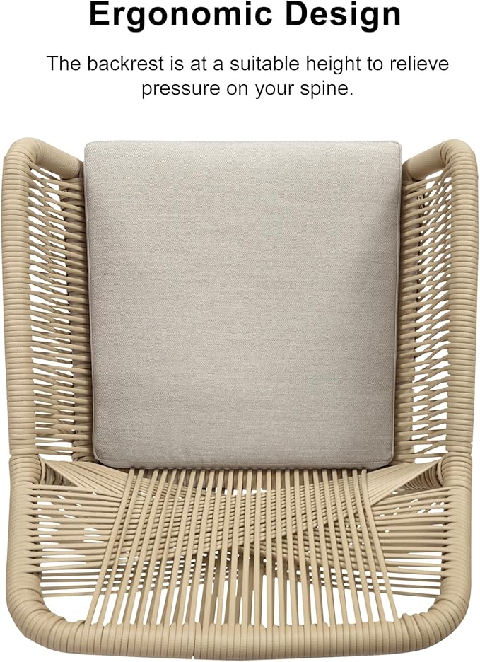 PURPLE LEAF 11 Pieces Outdoor Dining Set All-Weather PE Rattan Outdoor Patio Furniture Set with All Aluminum Frame Rectangular Table and Chairs Set for Lawn Garden Backyard Deck, Champagne
