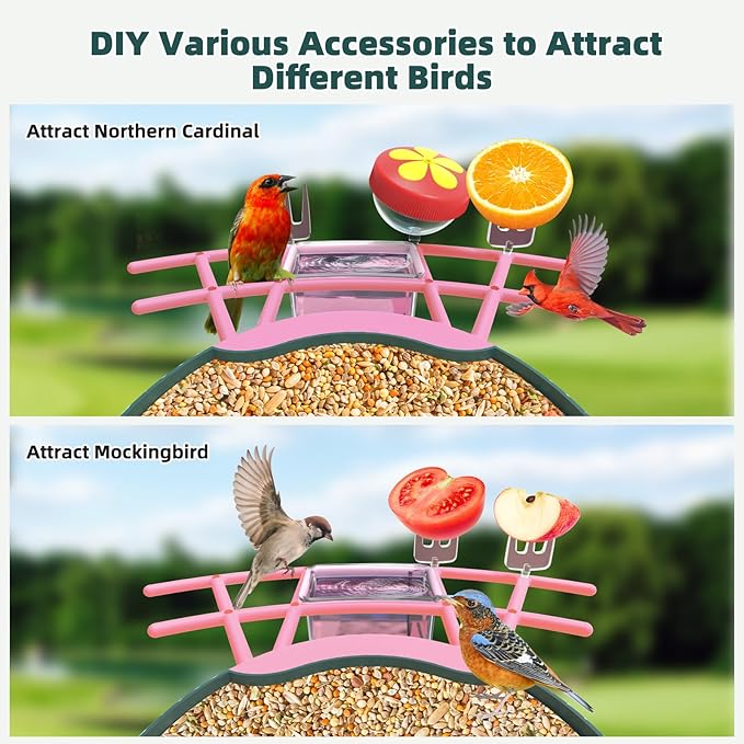 Smart Bird Feeder with Camera Solar Powered - 2K HD Live Video Camera AI Identify Birds, Visible Window Auto Capture& Motion Detection -Instant Arrival Alerts, Birds Lover Gifts