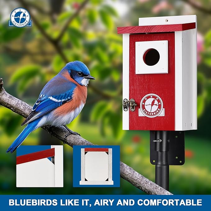 Bird Houses for Outside, Claret-Red Bird House, Bluebird Houses for Outside, Garden Decoration Birdhouses for Outdoors, Bluebird Finch Swallow Wren Chickadee
