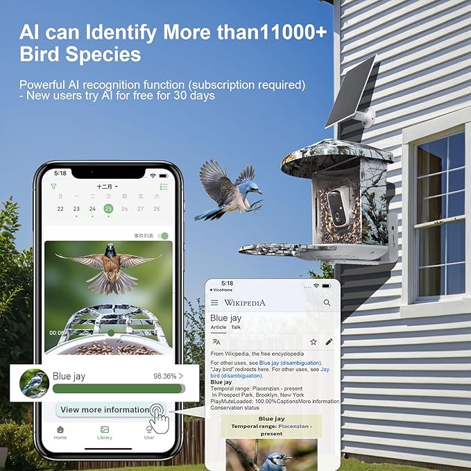 DCT Smart Bird Feeder with Camera: 1080P HD AI Identify 11K+ Species Weatherproof Squirrel Alert APP Control 2-Way Audio for Bird Lovers Garden/Backyard Outdoor Watching Gift