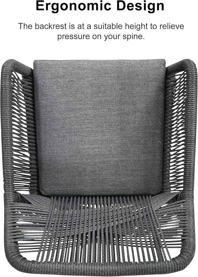 PURPLE LEAF 11 Pieces Outdoor Dining Set All-Weather PE Rattan Outdoor Patio Furniture Set with All Aluminum Frame Rectangular Table and Chairs Set for Lawn Garden Backyard Deck, Grey