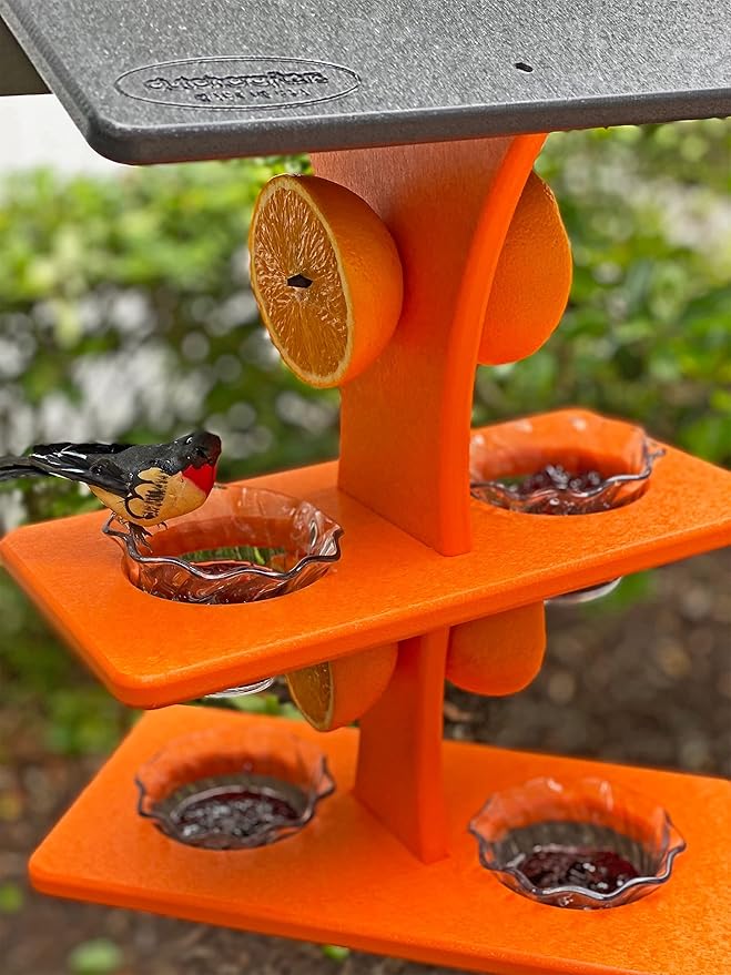 DutchCrafters Plastic Poly Double Platform Hanging Oriole Bird Feeder with Fruit Slice Holders & Nectar Cups, Jelly Bird Feeders for Outside - Amish Made in USA (Double, Black & Bright Orange)