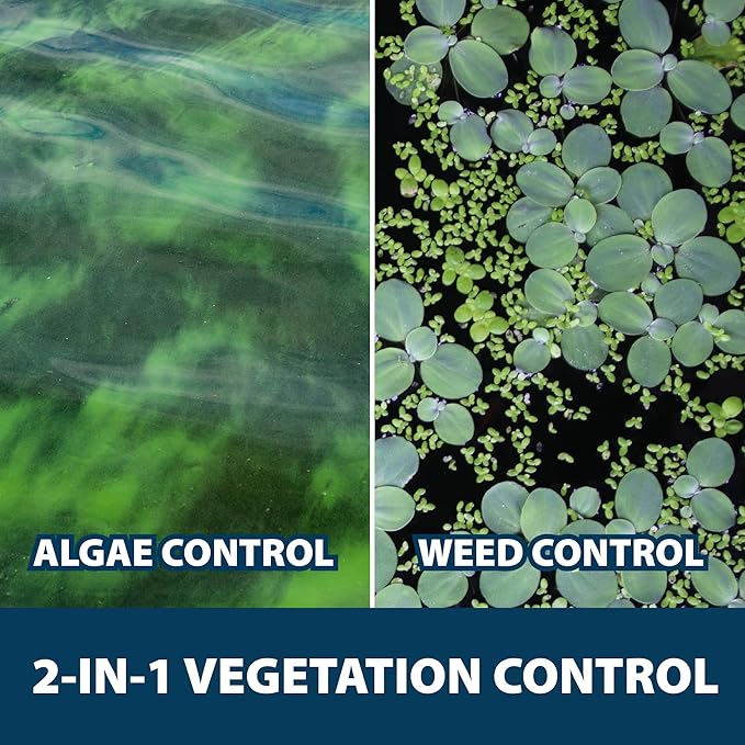Airmax EasyKlear Pond & Lake Algae & Weed Vegetation Control, 2-in-1 Broad Spectrum Aquatic Herbicide & Algaecide Granular Water Treatment, 15 Pounds