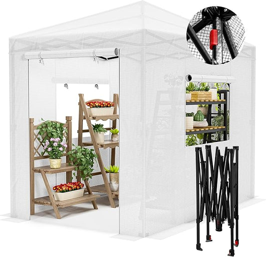 Devoko Walk-in Greenhouse, Portable Pop-in Green House with Zippered Door and 2 Roll-up Windows and PE Cover, Portable and Easy Assemble (White, 8x6 Feet)