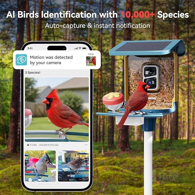Bird Feeder with Camera, Support 2.4GHz/5GHz, 2K Live Steam for Outdoor, 1.8L Large Capacity, AI Identify Auto Capture Videos, Camera Bird Feeders for Outside, Ideal Gift for BirdLovers