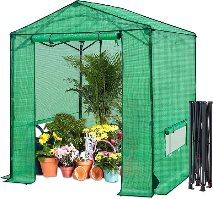 6x6 Pop Up Walk-in Greenhouse, Indoor & Outdoor PE Cover Green House w/ Power Access Ports, Roll-up Zippered Doors and Windows, Green
