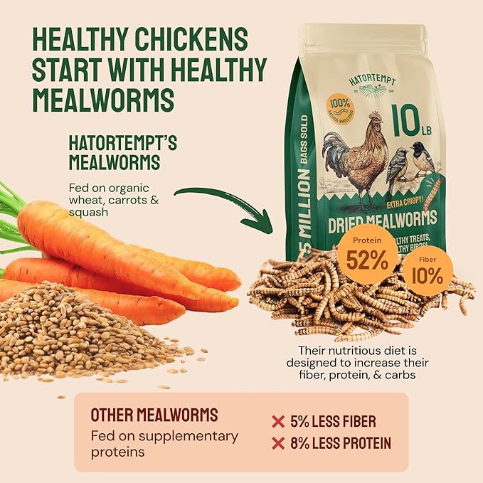 Hatortempt Bulk Dried Mealworms - 10 Lb Bag - Non-GMO Dried Mealworms for Chickens, Ducks & Wild Birds - High-Protein Chicken Feed & Bird Food