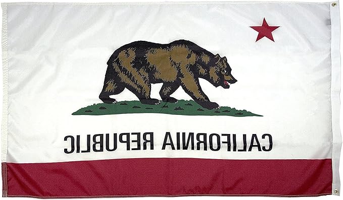 FlagSource California Nylon State Flag, Made in the USA, 4x6'