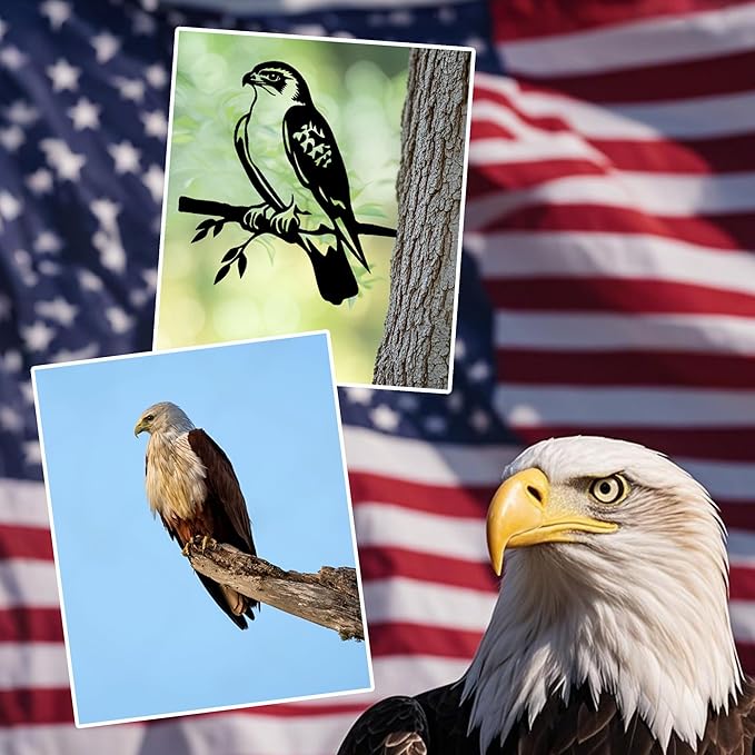 3pcs Black Metal Art Bird Ornaments for PatioTree, Country Farmhouse Style Outdoor Art, Metal Yard Art Outdoor and Garden Decorations,(Includes Cardinal & Raven & Hawk)