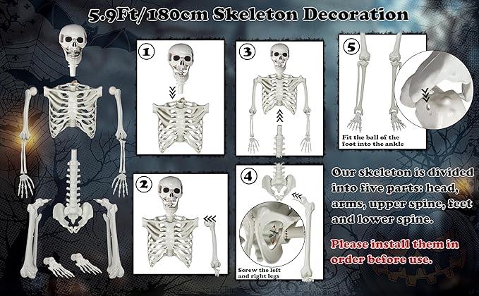 Halloween Skeleton, Realistic Life Size Skeleton with Movable Joints for Halloween Party Haunted House Indoor Outdoor Decoration (5.9ft-1P)
