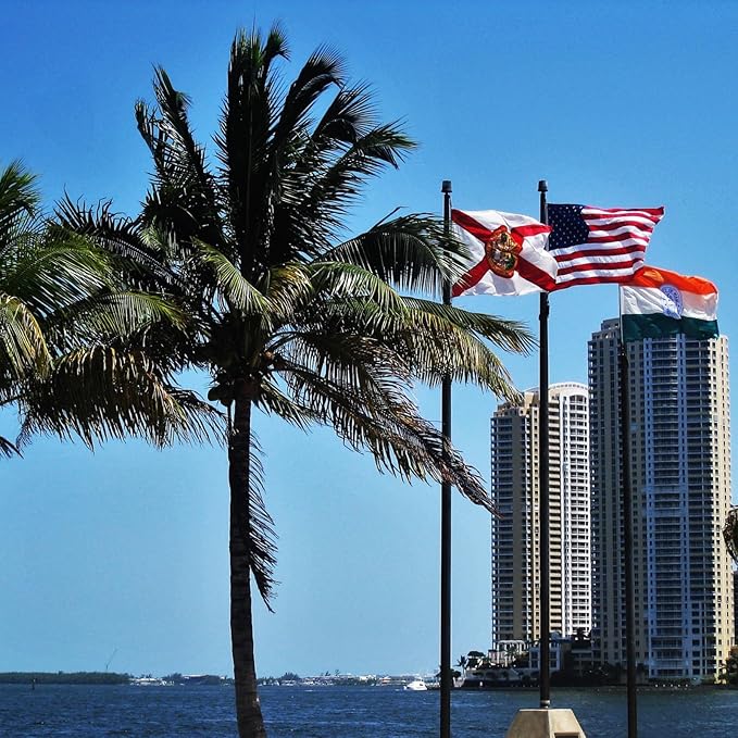 ROTERDON Florida Flag 6x10 Outdoor, 210D Heavy Duty FL State Flags Outside, Embroidered Stars and 2 Stitch Hemmings, Double Sided Banner with 2 Brass Grommets