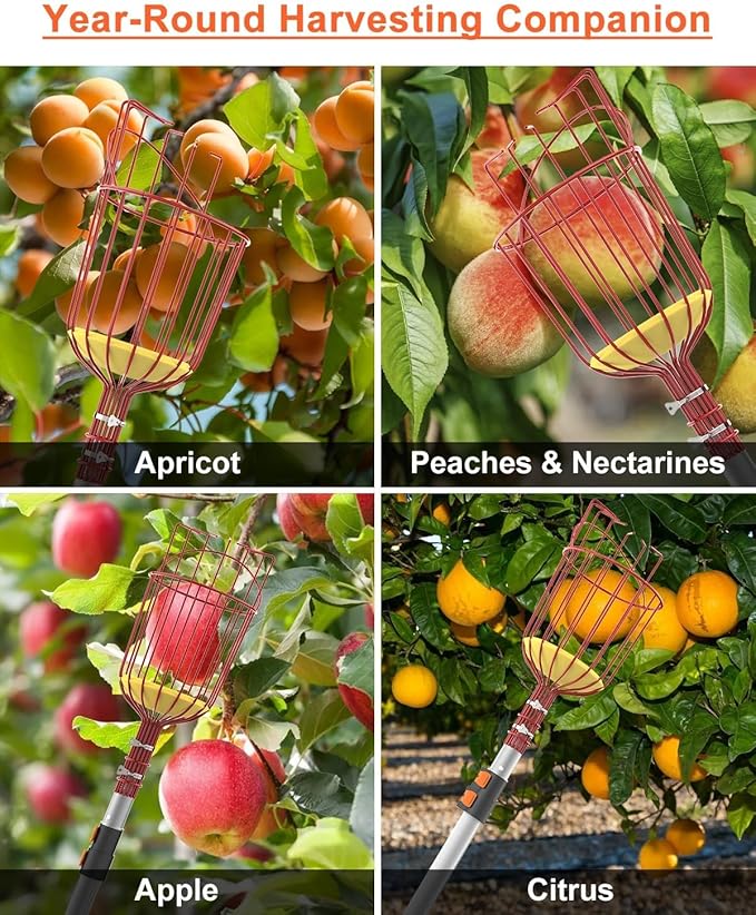 AgiiMan 3 to 12 FT Fruit Picker Pole - Reach to 18 FT Fruit Picker with Telescopic Extension Pole, Lightweight and Sturdy Aluminum Telescopic Pole, Easy to Assemble Fruit Picking Basket