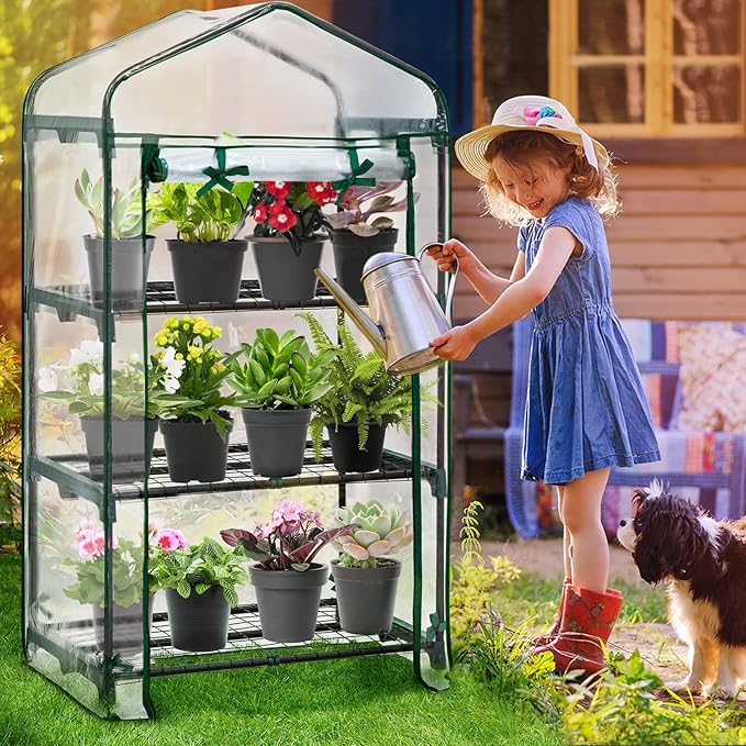 EAGLE PEAK 3-Tier Mini Greenhouse Portable Green House with Shelves & Weather-Resistant PVC Cover, Small Greenhouse for Seedlings & Gardening Gifts, 27x19x50 in, Clear