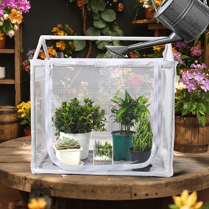 Fully Enclosed Mini Greenhouse Indoor, Small Indoor Greenhouse with Top Opening, Waterproof mini Green House 23.6"x15.7"x23.6" for Garden Small Plants, Succulent, Seedlings