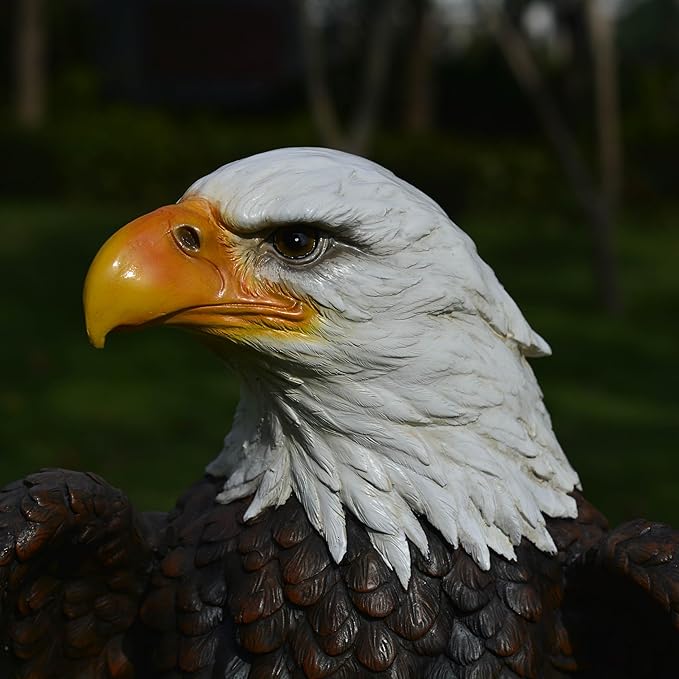 Large Garden Statue Standing Eagle Garden Sculpture, Majestic Hand Drawn Bald Eagle Decoration Flight of Freedom American Bald Eagle Yard Statue, Lawn and Courtyard Outdoor Decoration 13 x 24.4 Inch