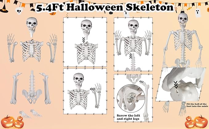 Halloween Skeleton, Realistic Life Size Skeleton with Movable Joints for Halloween Party Haunted House Indoor Outdoor Decoration (5.4ft-1P)