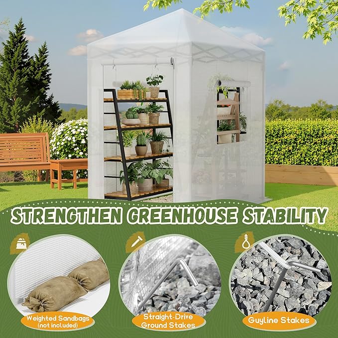 Devoko Walk-in Greenhouse, Portable Pop-in Green House with Zippered Door and 2 Roll-up Windows and PE Cover, Portable and Easy Assemble (White, 6x4 Feet)