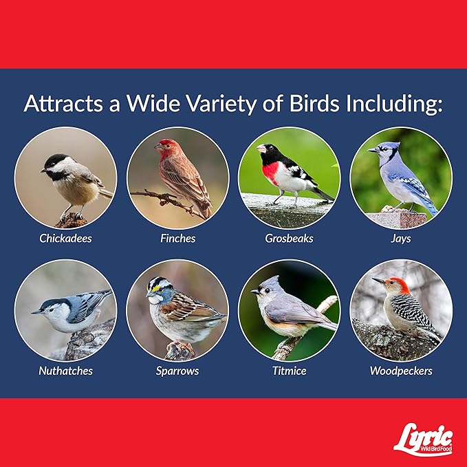 Lyric Supreme Wild Bird Seed for Outside Feeders - Wild Bird Food Mix with Nuts & Sunflower Seeds, Attracts Many Beautiful Songbirds, 13.5 lb (Pack of 3-4.5 lb Bags)