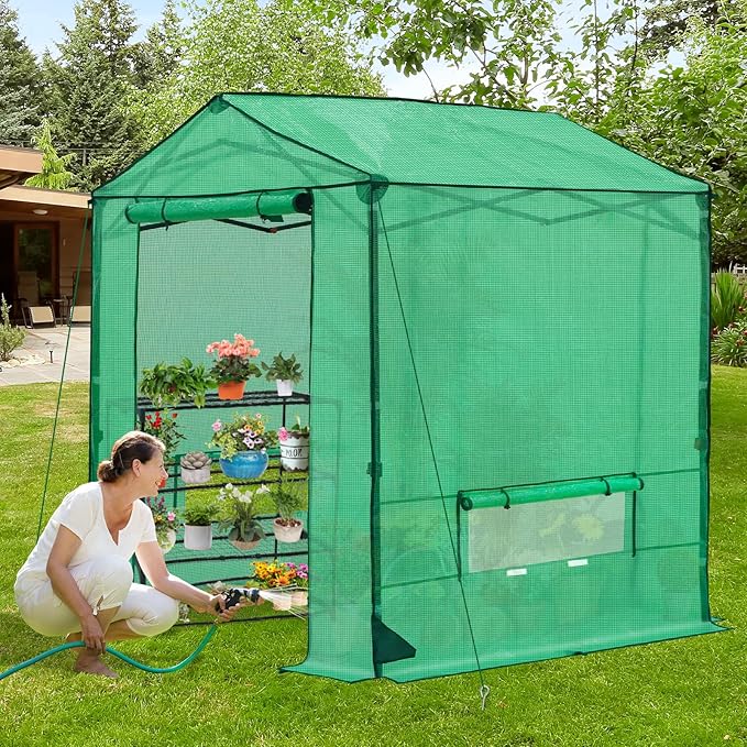 6x6 Pop Up Walk-in Greenhouse, Indoor & Outdoor PE Cover Green House w/ Power Access Ports, Roll-up Zippered Doors and Windows, Green